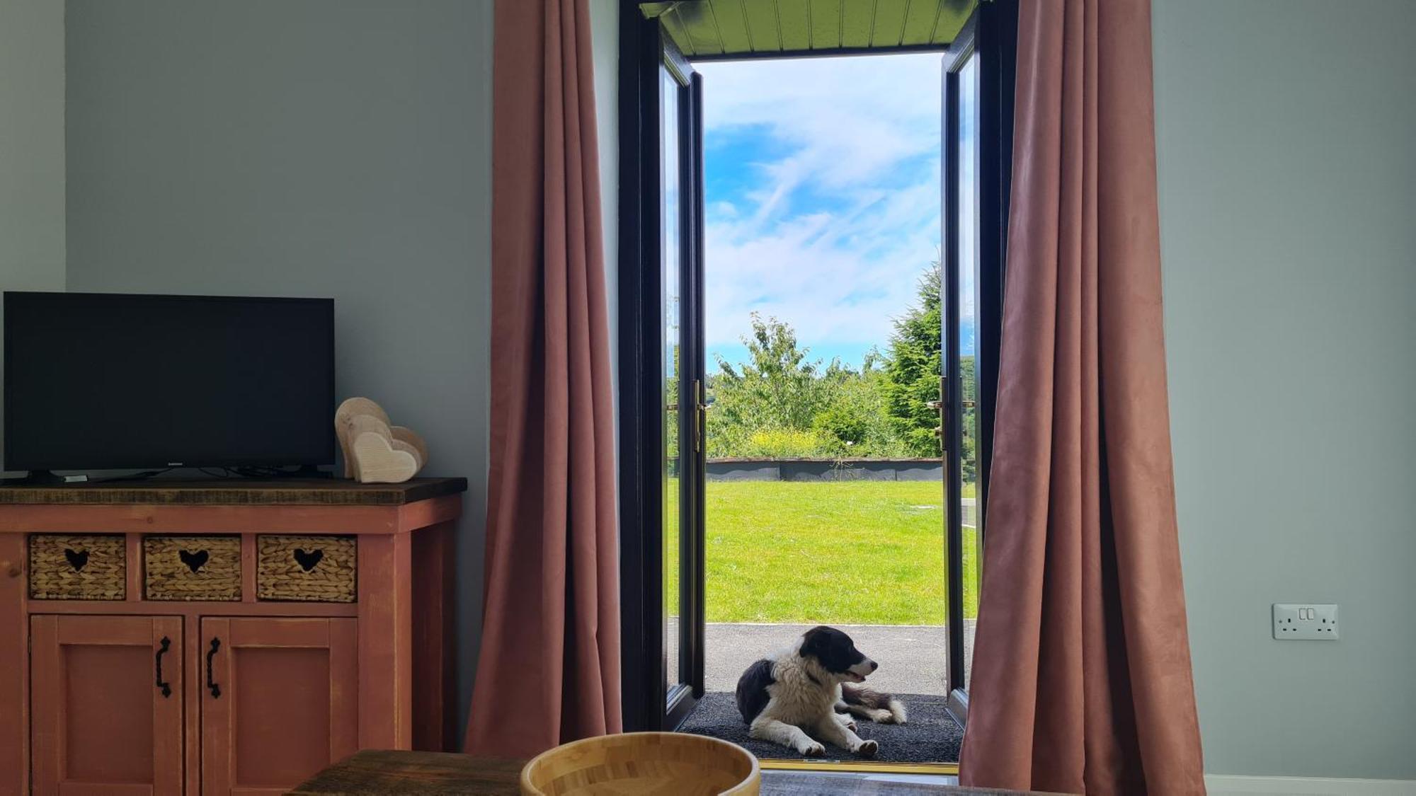 The Old Mountain Stables Caerllwyn Ganol Farm Apartment Newport  Room photo